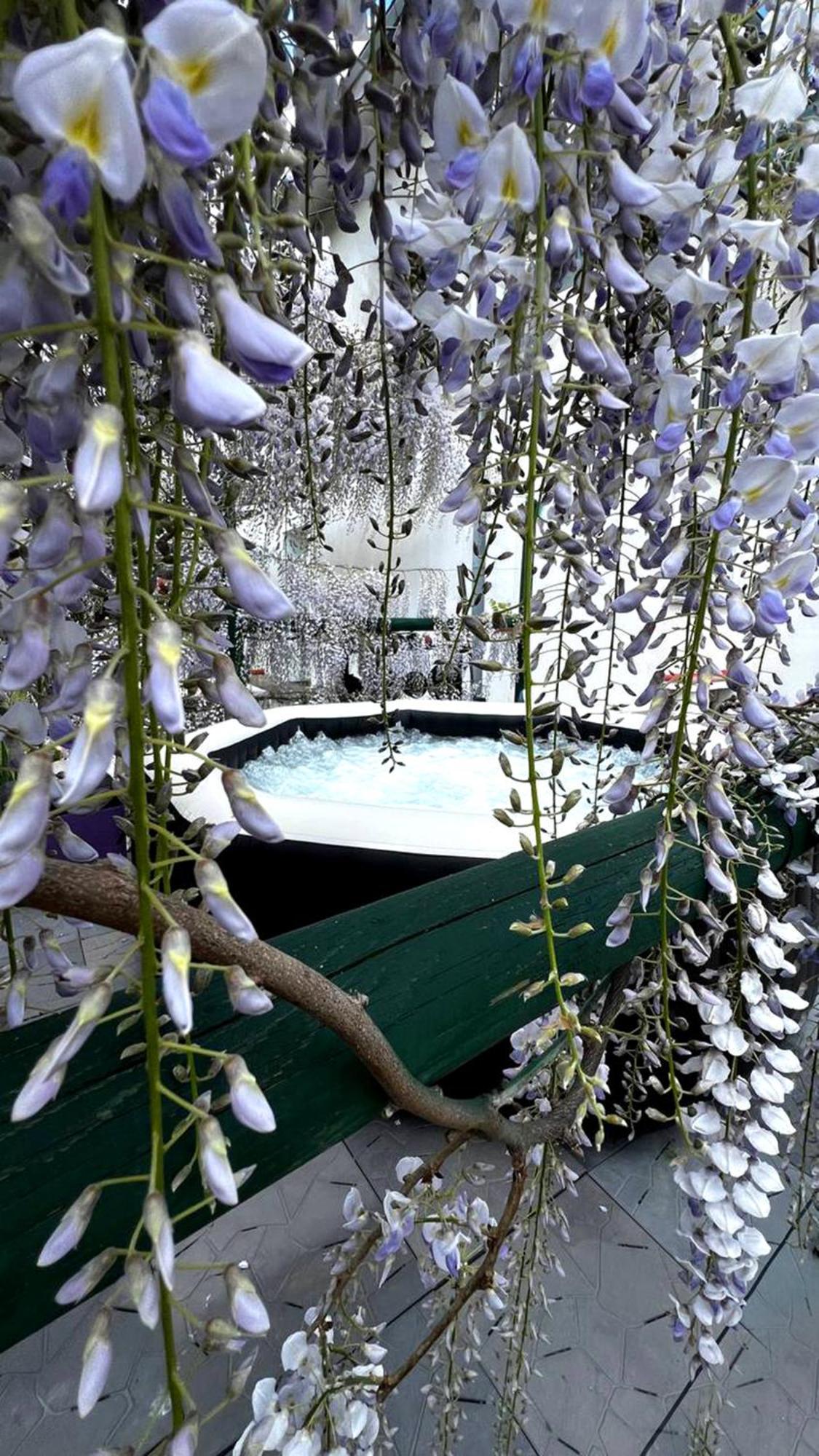 Gan Eden B&B San Benedetto Del Querceto Eksteriør billede