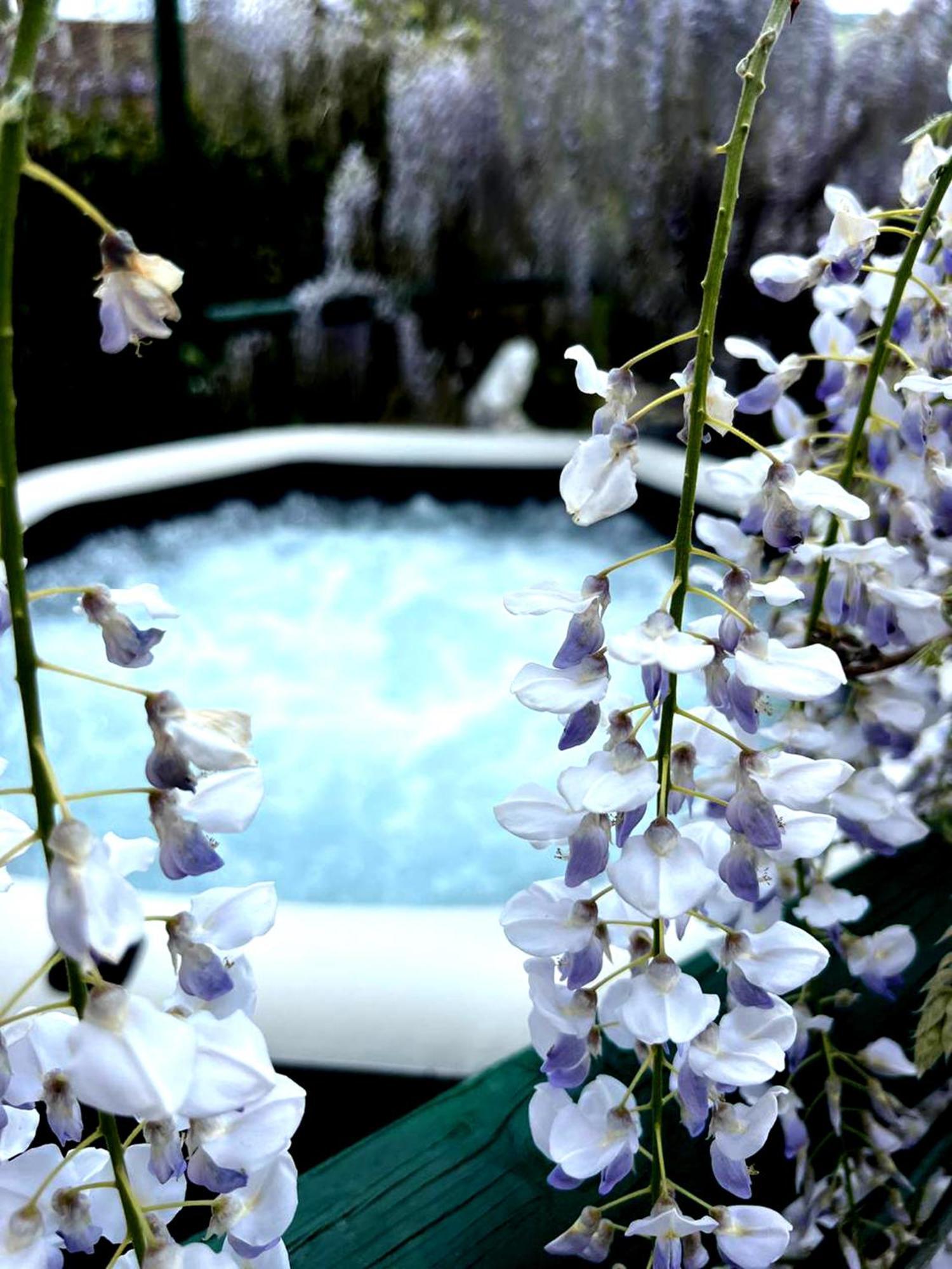 Gan Eden B&B San Benedetto Del Querceto Eksteriør billede